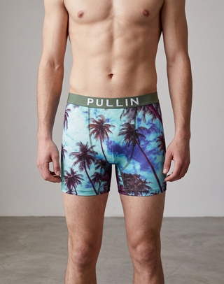PULLIN - Boxer FASHION2 - LARGO