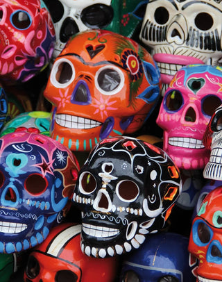 PULLIN - Boxer Master SkullMexico - LE CAPITAINE D'A BORD